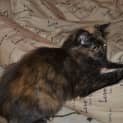 Photo of Delma