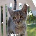 Photo of Ritza