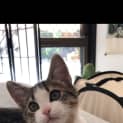 Photo of Flynn