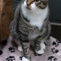 Photo of Tex