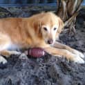 Photo of Molly