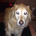 Photo of Molly