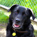 Photo of Oden
