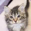 Photo of Katie