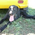 Photo of Rex
