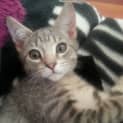 Photo of Ralph 