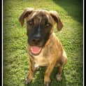 Photo of Jelly Bean ~(On Trial 9/5/14) ~ I Have A Video!
