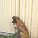 Photo of Jelly Bean ~(On Trial 9/5/14) ~ I Have A Video!