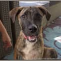 Photo of Jelly Bean ~(On Trial 9/5/14) ~ I Have A Video!