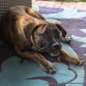 Photo of Jelly Bean ~(On Trial 9/5/14) ~ I Have A Video!