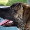 Photo of Jelly Bean ~(On Trial 9/5/14) ~ I Have A Video!