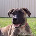 Photo of Jelly Bean ~(On Trial 9/5/14) ~ I Have A Video!