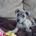 Photo of Mavis