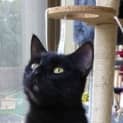 Photo of Lucia