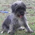 Photo of Crystal