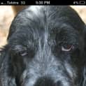 Photo of Tilly