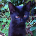 Photo of Sooty