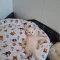 Photo of Claude 
