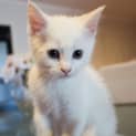 Photo of Claude 