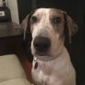 Photo of Jess