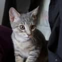 Photo of Ralph 