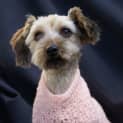 Photo of Maddison