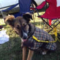 Photo of Tashi