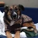 Photo of Tashi