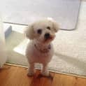 Photo of Milly