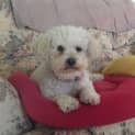 Photo of Milly