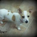 Photo of Chloe