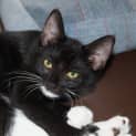 Photo of Penelope