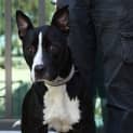 Photo of Coco