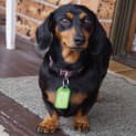 Photo of Gina