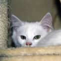Photo of Betsy