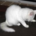 Photo of Betsy