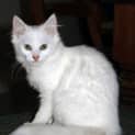 Photo of Betsy