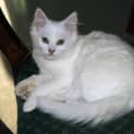 Photo of Betsy