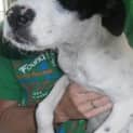 Photo of Millie