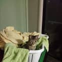 Photo of Fez *Discounted*