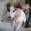 Photo of Ruby **A Sweet Sweet Princess**