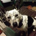 Photo of Storm