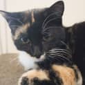 Photo of Sophie
