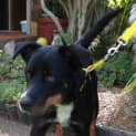 Photo of Razz