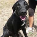 Photo of Rex