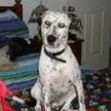 Photo of Tilly