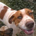 Photo of Trooper