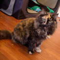 Photo of Leah