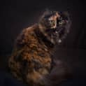 Photo of Leah