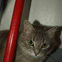 Photo of Montanna